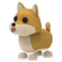 Shiba Inu